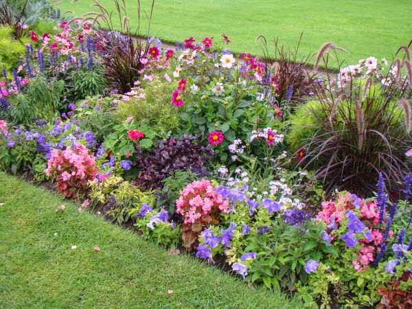 Flower Garden Design - Flower Garden Design Odessa, Texas