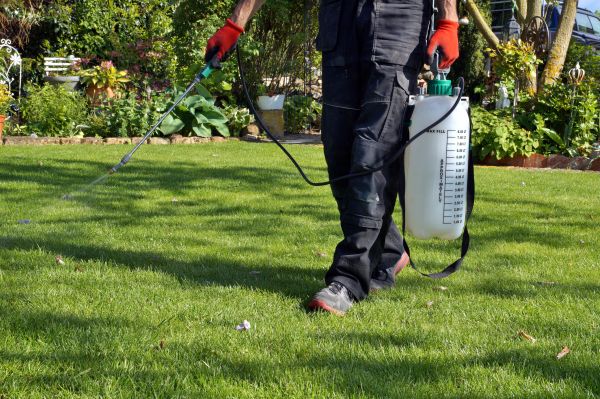Grass Treatment
