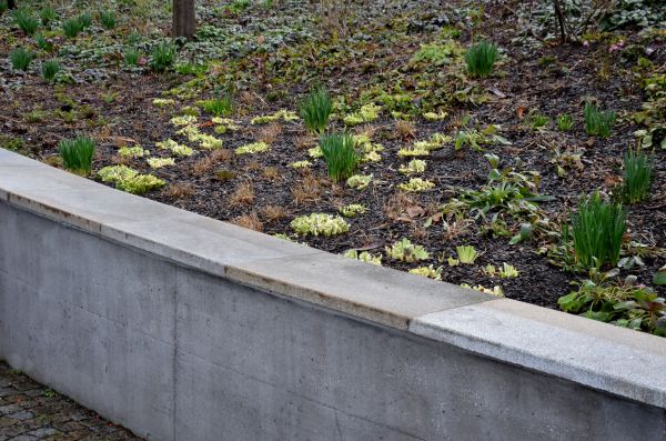 Driveway Erosion Control