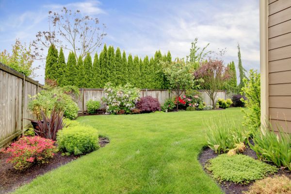 Landscape Transformation - Landscape Transformation Kitsap County, Washington