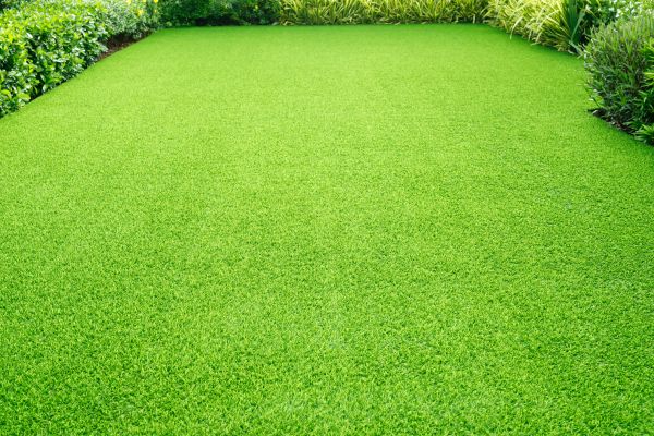 Turf Restoration
