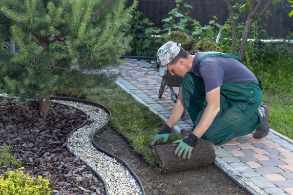 Garden Clearing