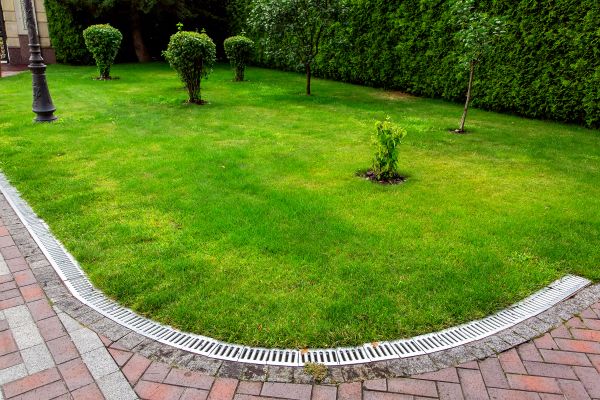 Backyard Drainage