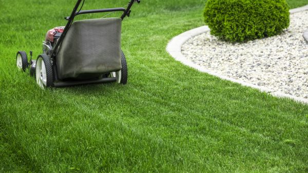 Landscaping And Maintenance - Landscaping And Maintenance Lubbock, Texas