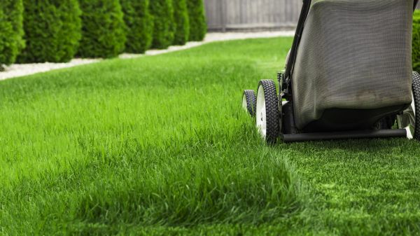Standard Lawn Care