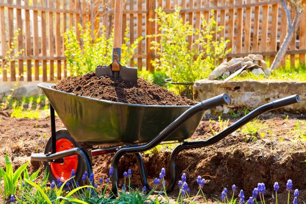 Dirt Landscaping