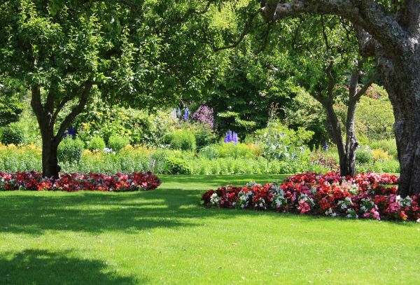 Tree And Garden Services