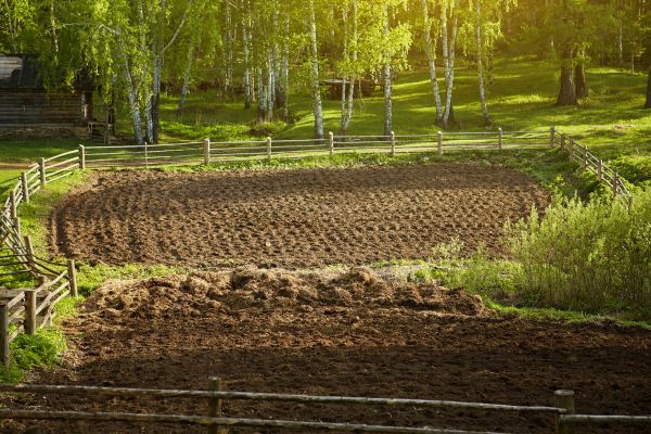 Lawn Tilling