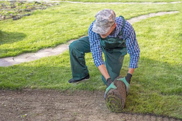 Lawn Returfing
