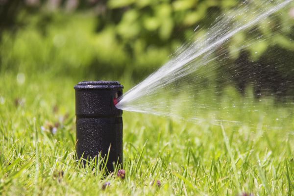 Sprinkler Head Replacement