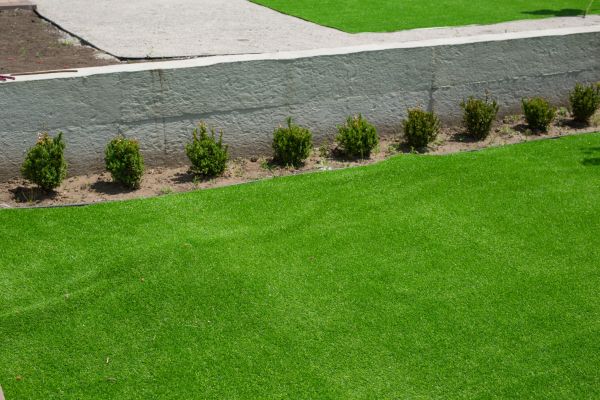 Lawn Surface Dressing Service