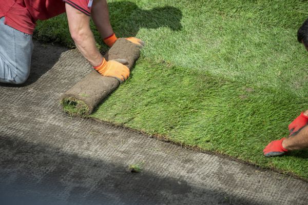 Turf Top Dressing Service