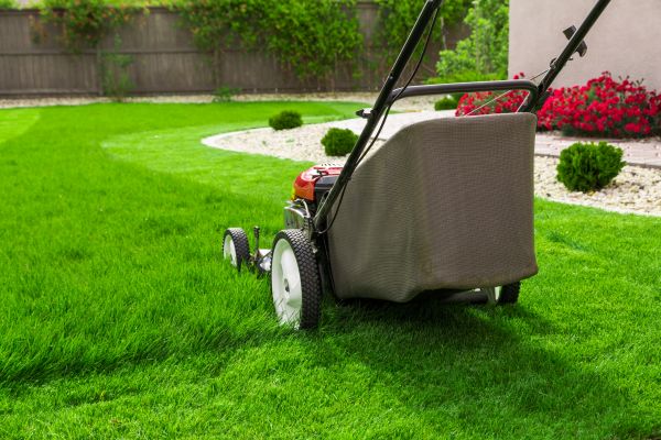 Lawn Mowing Services