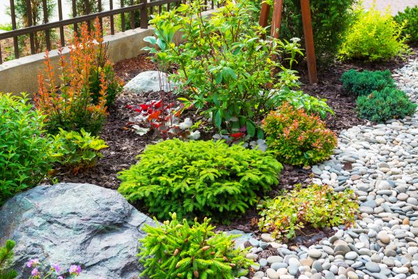 Rock Landscape Maintenance - Rock Landscape Maintenance Fort Collins, Colorado