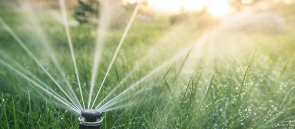 Sprinkler Pump Inspection