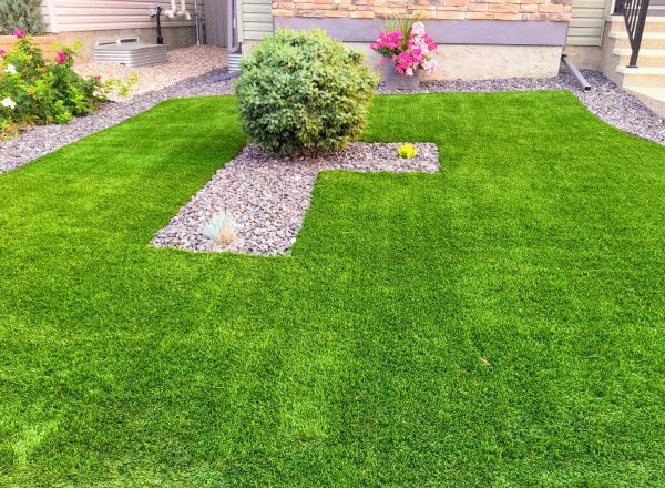 Synthetic Lawn Care