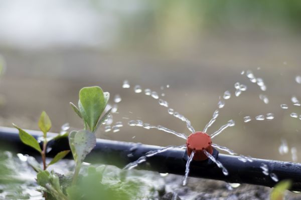 Drip Irrigation Service