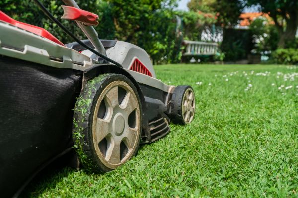Abandoned Property Mowing