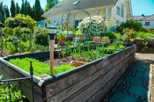 Garden Bed Design