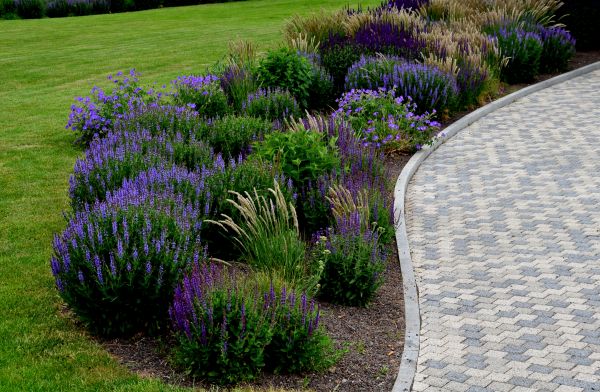 Flower Bed Cleanup