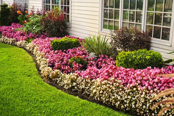Flower Bed Care - Flower Bed Care Maryville, Tennessee