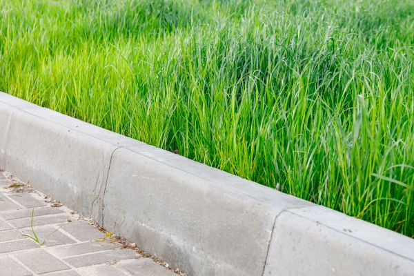 Concrete Curb Edging Service