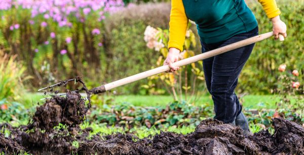 Grass Fertilizing Service