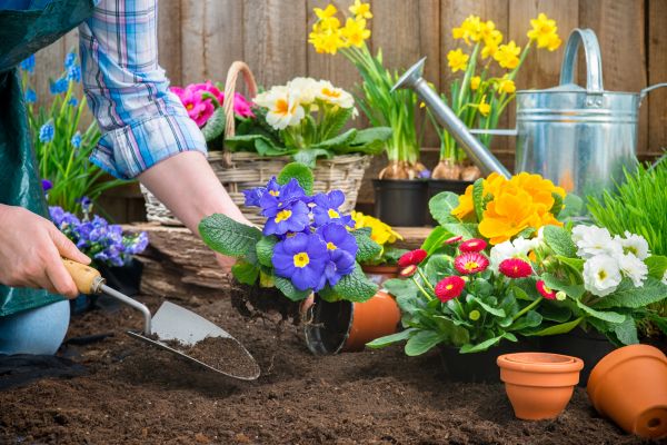 Garden Tending