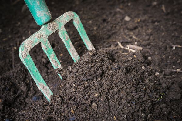 Topsoil Dropoff