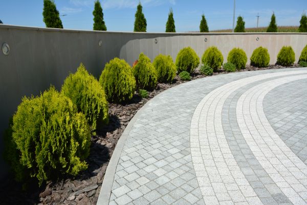 Paver Care - Paver Care Tyler, Texas