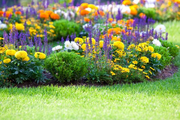 Perennial Planting - Perennial Planting Burlington County, New Jersey