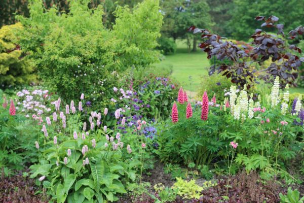 Flower Bed Planting