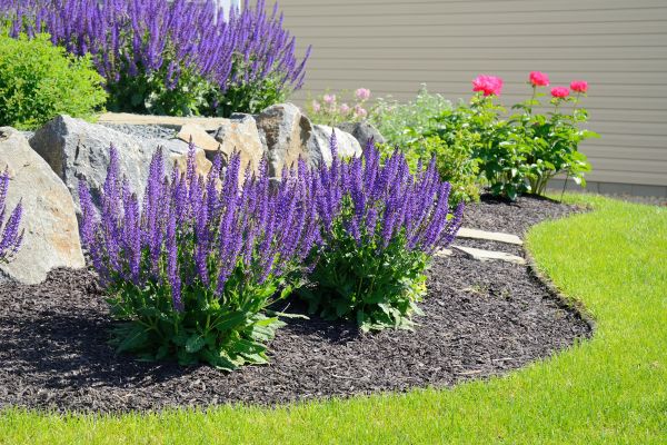 Planting Flowers Service