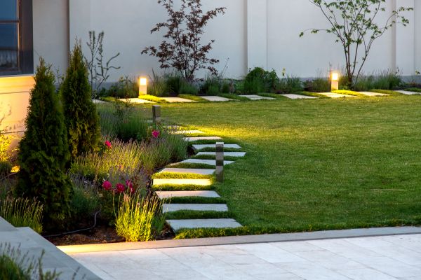 Commercial Landscape Lighting