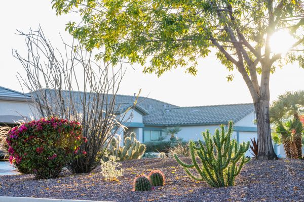 Dryscape Landscaping - Dryscape Landscaping Contra Costa County, California