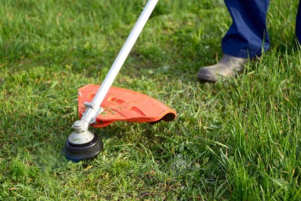 Yard Weed Whacking