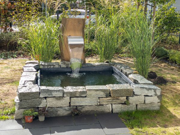 Water Garden Maintenance - Water Garden Maintenance Georgetown, Texas