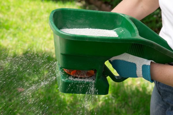 Grass Fertilization