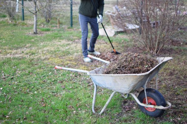 Backyard Brush Removal