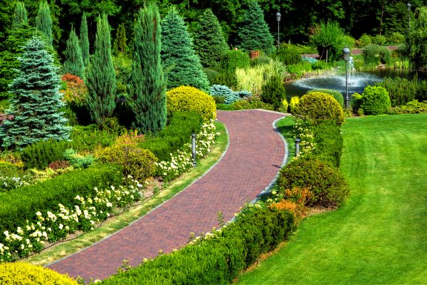 Shrub Establishment