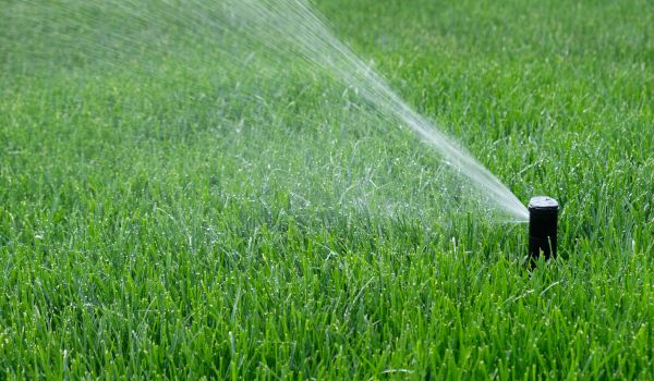 Sprinkler Head Installation