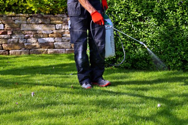 Landscape Spraying Service