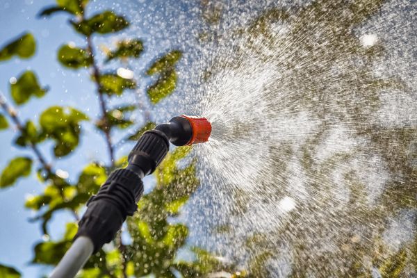 Yard Insect Control