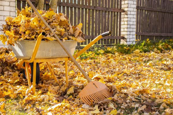 Backyard Cleanup Service - Backyard Cleanup Service Layton, Utah