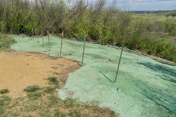 Grass Hydroseeding