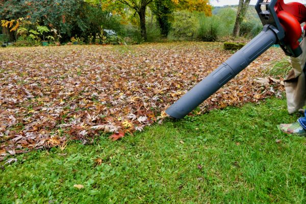 Leaf Blowing Service