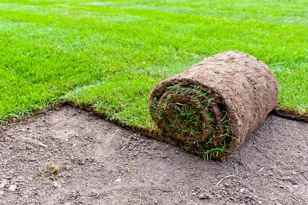 Yard Resodding
