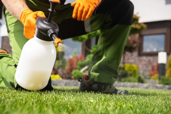 Weed Spraying Service