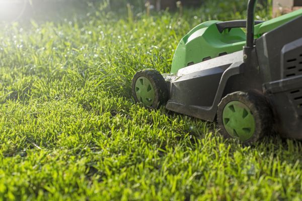 Front Yard Mowing