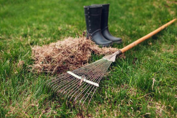 Aeration Service